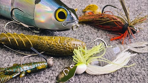 These 3 Mistakes Will Ruin Your Fall Fishing! (How To Avoid Them)