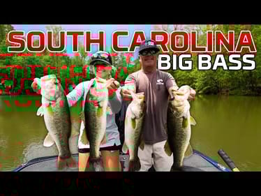 BIG Largemouth on TOPWATERS!! - Fishing with BillyGottaBass in South Carolina