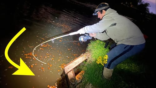 The MONSTERS come out at NIGHT!!! (CITY CREEK FISHING)