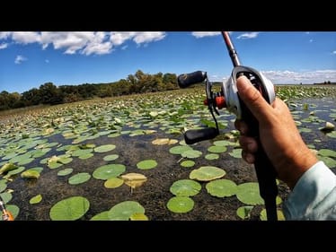Did we just unlock Toledo Bend?