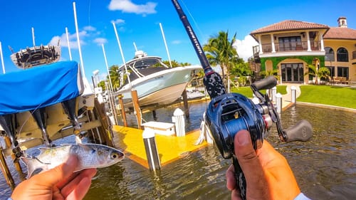 Fishing During a Giant Flooding King Tide