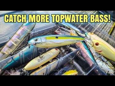 Topwater Walking Bait Guide (Bass Fishing Tips)