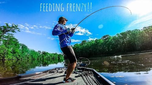 INSANE FEEDING FRENZY Found During RIVER Bass TOURNAMENT!!! || They Were EVERYWHERE!!!