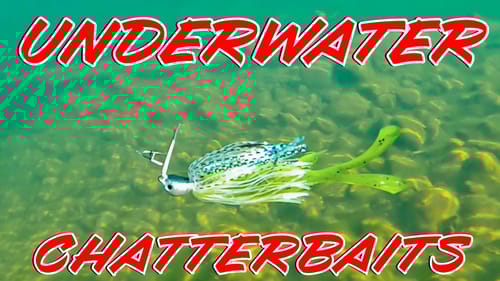 Underwater Chatterbait Footage! 19 Trailers Compared In Crystal Clear Water!!