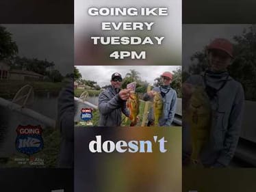 🔥 GIANT peacock BASS from STREETS of Miami🌴 New GOING IKE Tuesday 4pm  #urbanfishing #peacockbass