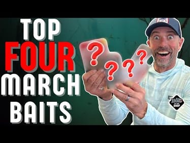 🎣 Early Spring Bass–March TOP 4 Baits! 🏆