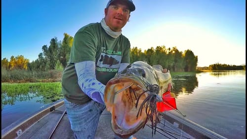 Buzzbaits Tricks You Didn't Even Know To Try!