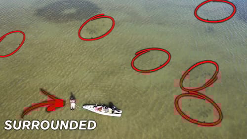 did not realize I was surrounded... by SCHOOLS of redfish