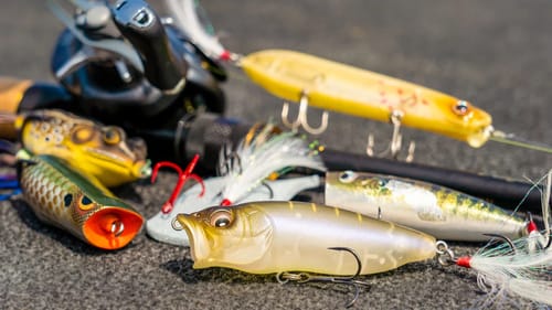 4 Topwater Tricks For Early Fall Bass Fishing!