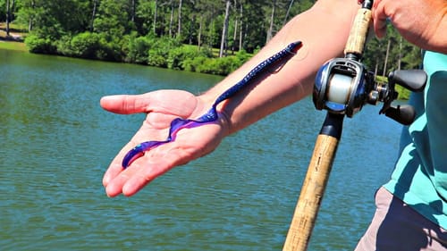 Fishing Big Worms for Giant Bass!