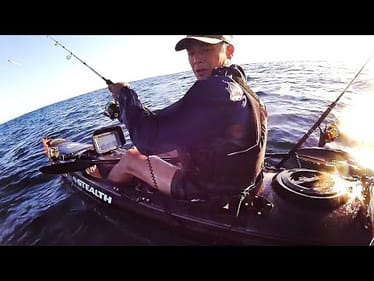 Made Me Jump! Mystery Fish Surprises
