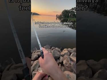 Must be morning cause I’m catching wood #fishing