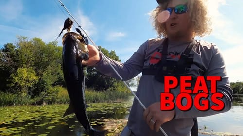 Shallow Water Flipping Largemouth Around Peat Bogs @BassBrawlOutdoors & @OliverNgy