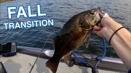 Finding Deep Smallmouth - Fall Transition Funk!