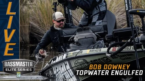 St. Johns River: Bob Downey's topwater gets engulfed