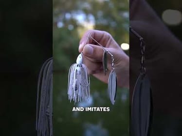 This Dirty Jigs compact spinnerbait is perfect for fishing fast in the fall.