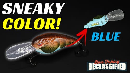This SNEAKY New Crankbait Color Is DOMINATING Tournaments Right Now