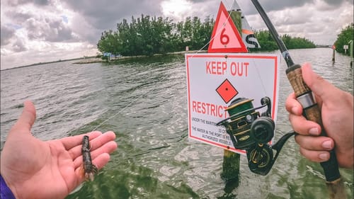 Surprising Lure Crushes Saltwater Fish In Deep Channels