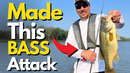 Always Think About This When Bass Fishing | Bass Fishing Tips