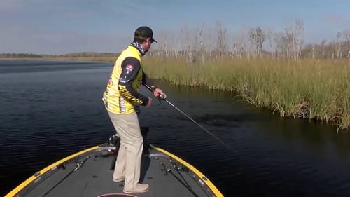 St. Johns River: Matt Arey's trio of topwater bites