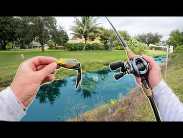 The Hunt For INVASIVES! Pond Hopping Suburban Neighborhood Ponds