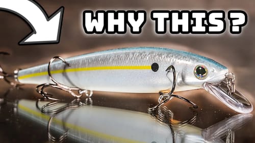 The Winter Fishing SECRET I Wish Someone Had Told Me…