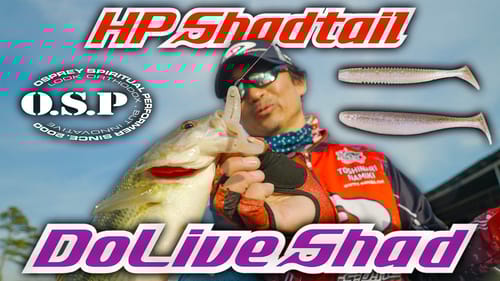 These Two Baits Might Just Be The Only SMALL SWIMBAITS You Will Ever Need Again!! Here's WHY!!