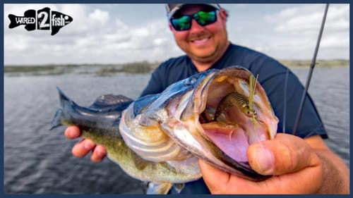 How to Pair Swimbaits on Swim Jigs for Stingy Bass