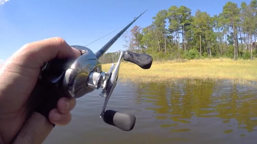 I Lost a Giant Bass in the Tournament