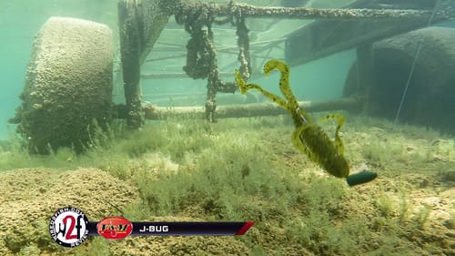 V&M J-Bug Underwater Video