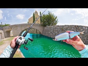 Public Pond Hopping URBAN Honey Holes!