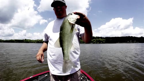 Fishing Shallow Flats and Wood in the Summer