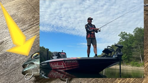 The Tip A Subscriber Gave Me To Catch Giant September Bass…