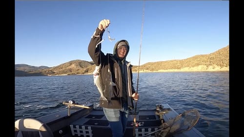 Winter Stripers at Silverwood Lake!!