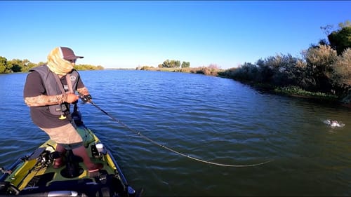 Quick Fishing Session on the River(Round 2)