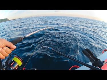 Catching The "World's Best" Fish & Chips - Living From The Ocean