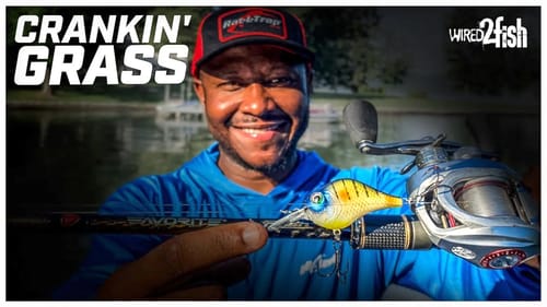2 Tips to Fish Crankbaits in Grass for Bass