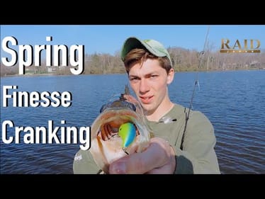 Finesse Crankbait fishing ft. Raid Level Crank