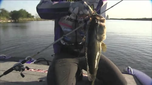 Aaron Martens with a 6 lb start BASS Live www.bassmaster.com