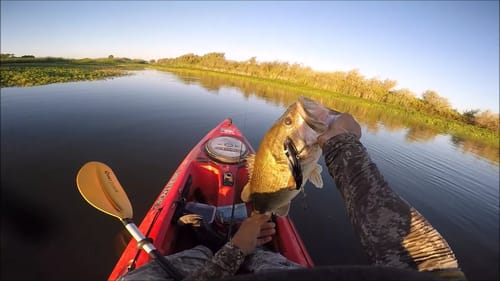 Yak-A-Bass June/July Online Tournament(TourneyX)