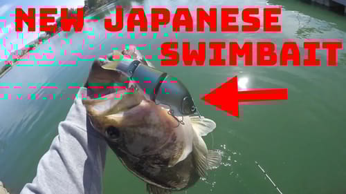 This Little Japanese Swimbait Might Be My New Favorite Pond Swimbait!