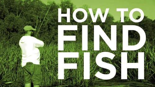 Bass Fishing - Finding Summer Bass