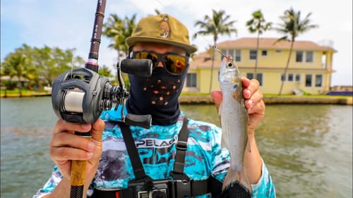 Flipping Live Mullet Around Giant Million Dollar Houses