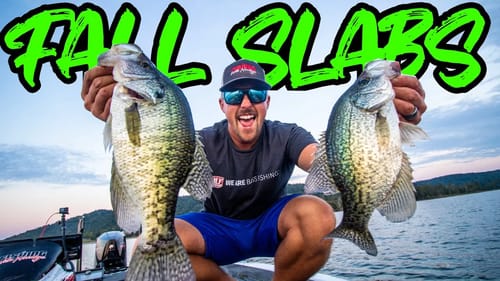 Fall CRAPPIE FISHING on LAKE GUNTERSVILLE! (BIG CRAPPIE!!)