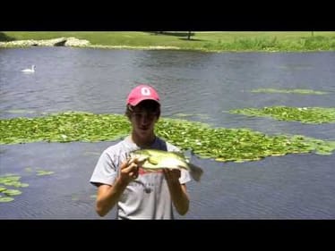 4th of July Topwater Bassin' (7/4/10)