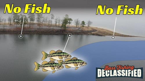 Winter Bass Are NOT Where You Expect – Don’t Get Left Out!