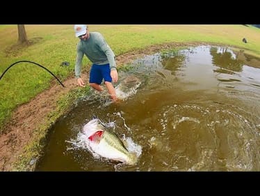 You WON’T BELIEVE the WEIGHT OF THIS GIANT BASS!!