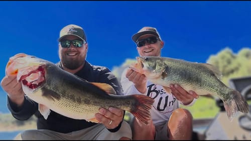 Multi-Species Combat Fishing TRIFECTA | NEW PB!!! | Jigging Summer Time Bass Out of Heavy Cover