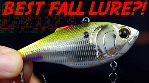 The ABSOLUTE BEST Lure For Fall Bass Fishing?!