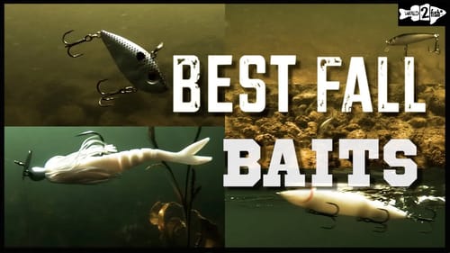 5 BEST BAITFISH BASS LURES for Fall Bass Fishing